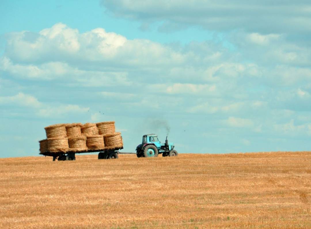 truck in the field